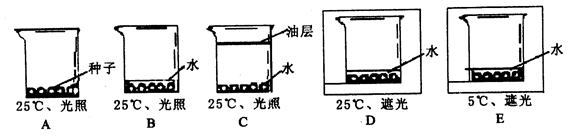 乐鱼网址-超级奶爸全国一家互联网轻餐饮加盟品牌(图1) 乐鱼官网登录